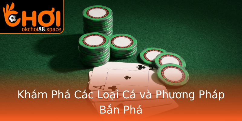 Khám Phá Các Loại Cá và Phương Pháp Bắn Phá Khám Phá Các Loại Cá và Phương Pháp Bắn Phá