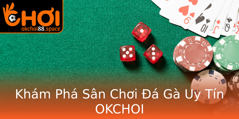 Khám Phá Sân Chơi Đá Gà Uy Tín OKCHOI Khám Phá Sân Chơi Đá Gà Uy Tín OKCHOI