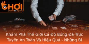 Kham Pha The Gioi Ca O Bong A Truc Tuyen An Toan Va Hieu Qua Nhung Bi Quyet Tu Okchoi