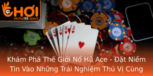 Kham Pha The Gioi No Hu Ace At Niem Tin Vao Nhung Trai Nghiem Thu Vi Cung Okchoi