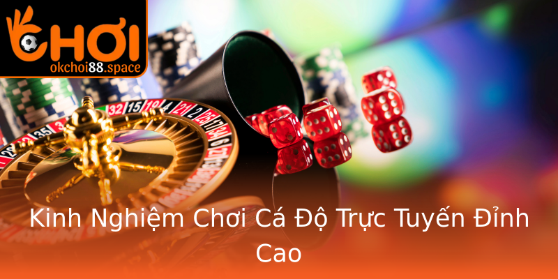 Kinh Nghiệm Chơi Cá Độ Trực Tuyến Đỉnh Cao Kinh Nghiệm Chơi Cá Độ Trực Tuyến Đỉnh Cao