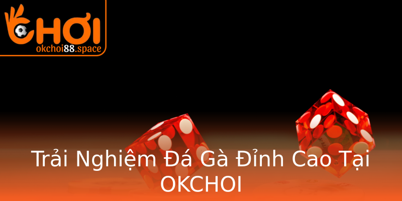 Trải Nghiệm Đá Gà Đỉnh Cao Tại OKCHOI Trải Nghiệm Đá Gà Đỉnh Cao Tại OKCHOI