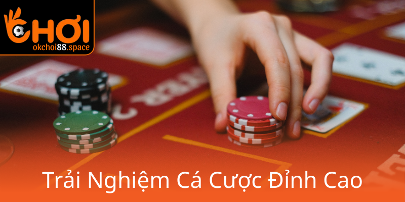 Chúng Tôi Nhà Cái OKCHOI - Đối Tác Hàng Đầu Trong Thế Giới Cá Cược 2 Trai Nghiem Ca Cuoc Dinh Cao0 1