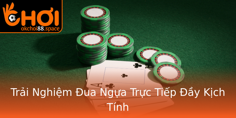 Trải Nghiệm Đua Ngựa Trực Tiếp Đầy Kịch Tính Trải Nghiệm Đua Ngựa Trực Tiếp Đầy Kịch Tính